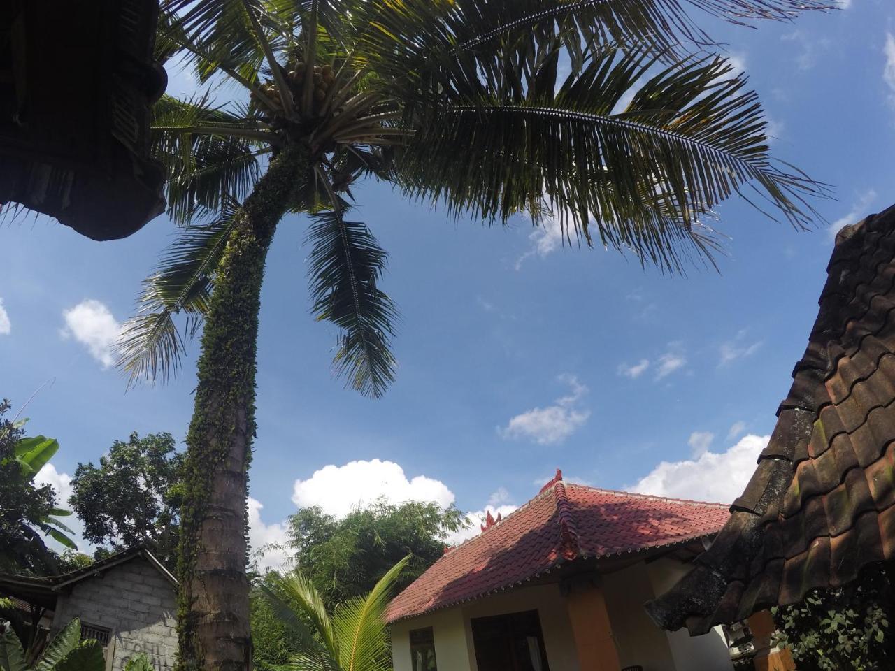 Dipa Home Stay Убуд Экстерьер фото